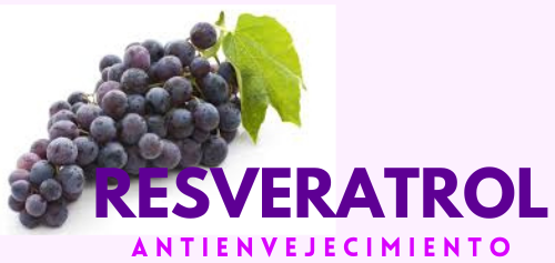 resveratrol antienvejecimiento